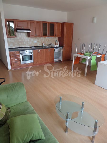 Spacious one bedroom apartment in the Old town, Hradec Králové - 53/25