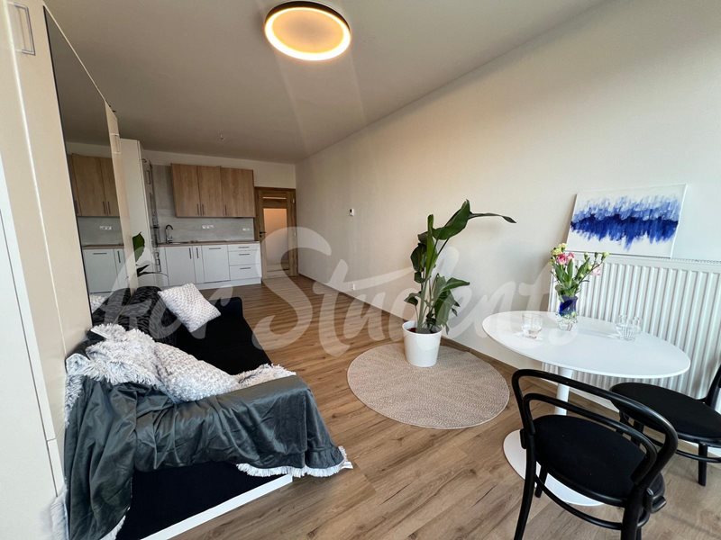 Modern studio apartment near Masaryk University, Brno  (file PHOTO-2025-08-21-13-19-49.jpg)