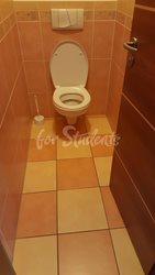 Four/Three bedroom apartment near the city center, Hradec Králové - 23158122_10155803264643550_722689202_o