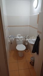 One spacious bedroom available in four bedroom female apartment in Buzulucká street, Hradec Králové - WC-v-chodbe