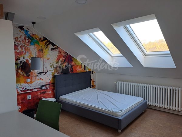 Three rooms available in a four bedroom apartment in the city center, Prague - RP16/23