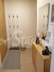 Retro studio apartment in the city centre, Brno - partman-c-5-02