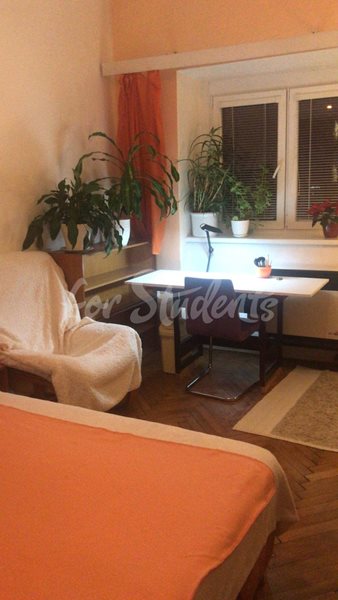 One room available in female shared apartment, 10min from city center, Prague - RP9/22