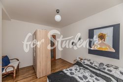Bright newly reconstructed one bedroom apartment close to city centre, Hradec Králové  - foto-002-(2)
