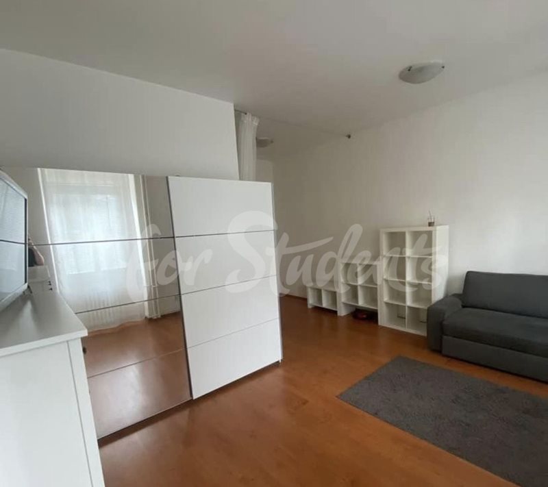One bedroom apartment in Brno center (Veveří district) (file IMG_8106.jpg)
