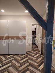 One room available in a two bedroom apartment, Prague - 0240503_195100