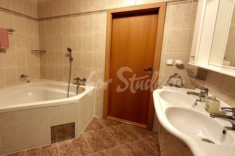Spacious two bedroom apartment in a family house, Prague (file 180a0c5f-a978-44cc-a7a2-b30855bdb3a2.jpg)
