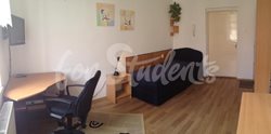 Spacious studio apartment close to the Faculty of Medicine, Prague - 10463052_656872261068271_2830336936488343224_n