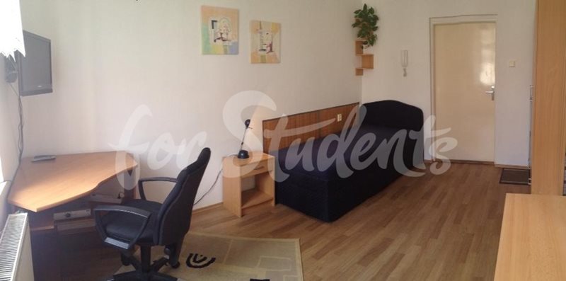 Spacious studio apartment close to the Faculty of Medicine, Prague (file 10463052_656872261068271_2830336936488343224_n.jpg)