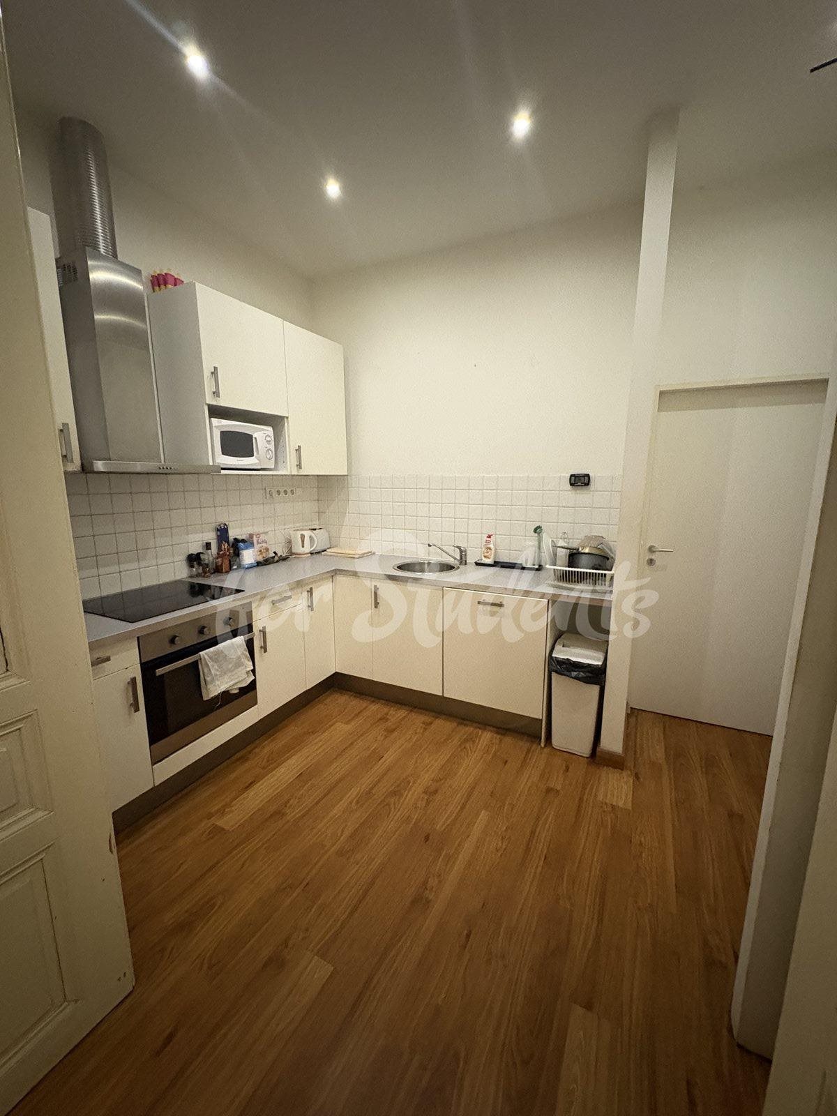 One room with a private bathroom in a spacious four bedroom apartment in the city center, Prague 