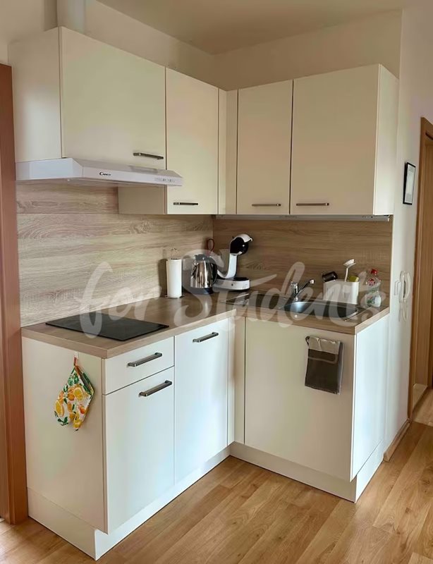 Spacious two bedroom apartment in a family house, Prague (file 4528b1d5-5f70-418f-9f5b-45cc490964af.jpg)