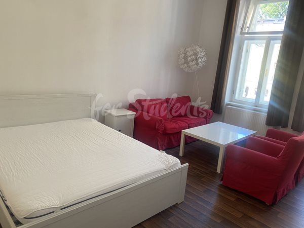 Modern one bedroom apartment in the city center, Hradec Králové - 18/25