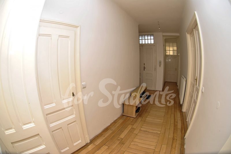 Place for a girl in a shared double room, close to Brno-centre (file 7ff1ec43a392aeb06e3c0e426f5814.jpg)