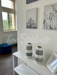 Fully furnished brand new one bedroom apartment in Tylovo nábřeží, Hradec Králové - a6710075-8a55-42ee-9aa9-ad9561d727d4