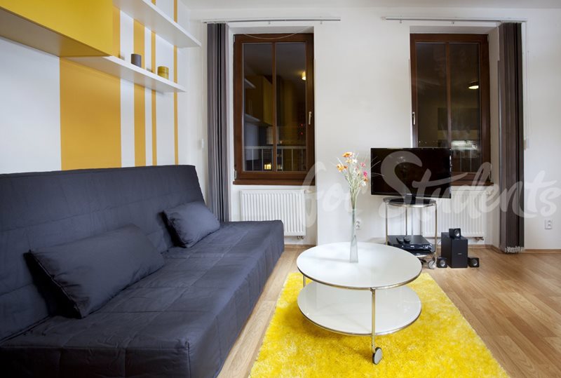 Fully equipped studio flat close to Brno, city centre (file 02.jpg)