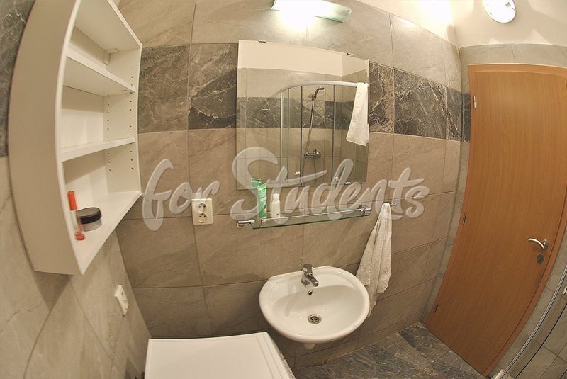 Modern shared accommodation Brno city centre (file koupelna.jpg)