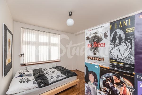 Bright newly reconstructed one bedroom apartment close to city centre, Hradec Králové  - 38/25