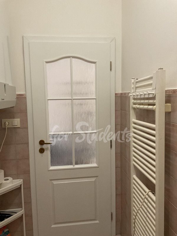 Studio apartment near the city center, Prague (file IMG_7914.jpg)