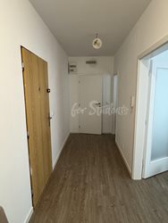 Newly reconstructed one bedroom apartment in Žižkov, Prague - IMG_7726