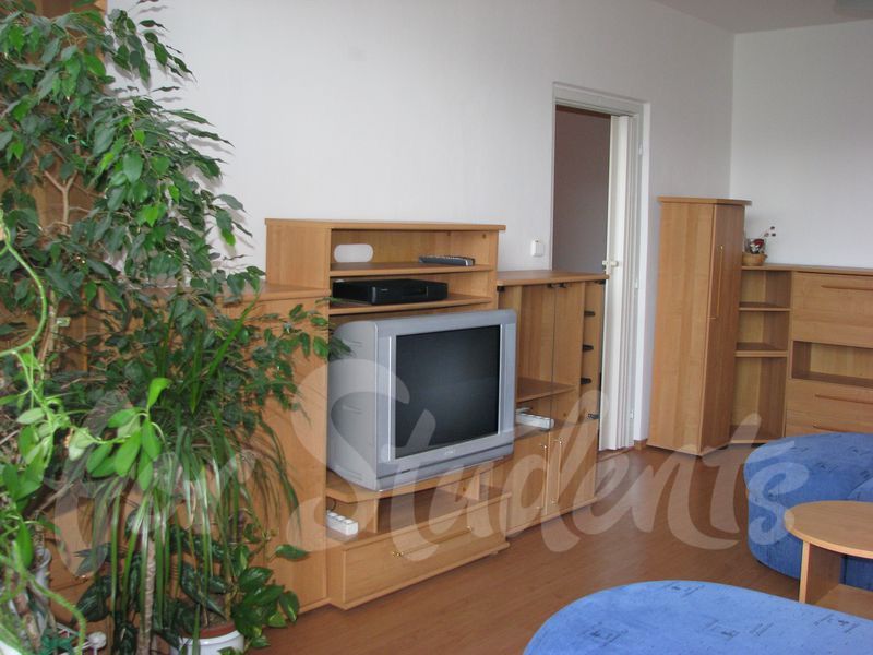 One bedroom apartment with living room and separate kitchen near the hospital, Hradec Králové (file pronajem04.jpg)