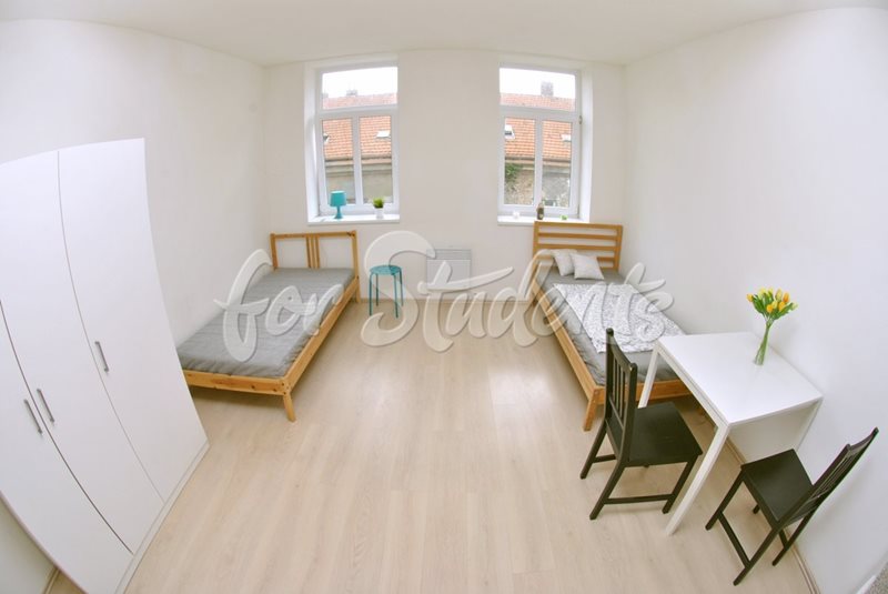 Studio flat close to Brno-city centre (file pokoj.jpg)