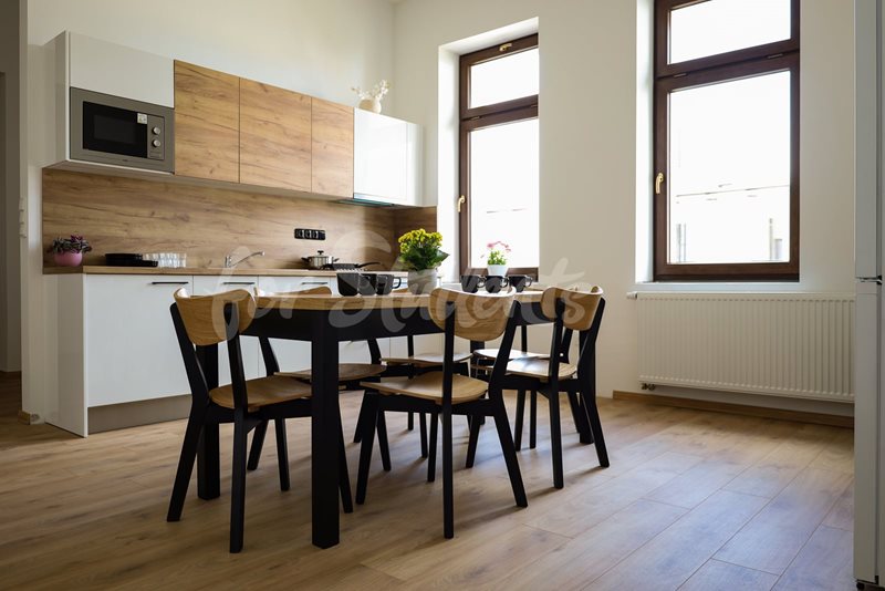 Newly reconstructed rooms in a student's house, Hradec Králové (file 9.jpg)