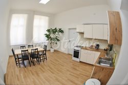 Double room in a shared apartment in the Brno city centre - kuchyn2