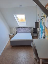 Four bedroom apartment in the city center, Prague - 39df711a-9301-4b19-bfab-a107d4423b0b