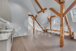 Brand new luxurious one bedroom attic apartment in Tylovo nábřeží, Hradec Králové - DSC00220