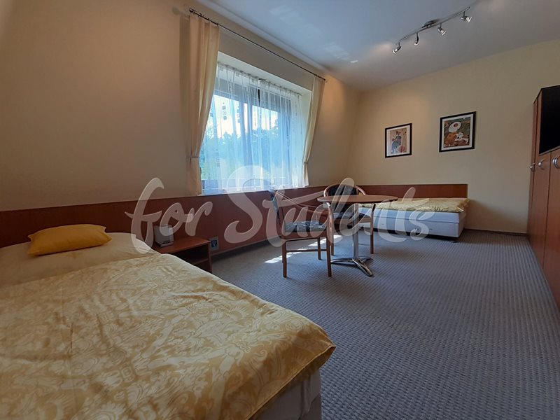 Great double room with a private bathroom, Brno (file pokoj.jpg)