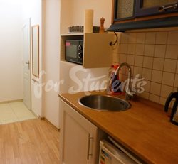 Studio apartment near the First Faculty of Medicine, Prague - P1010497