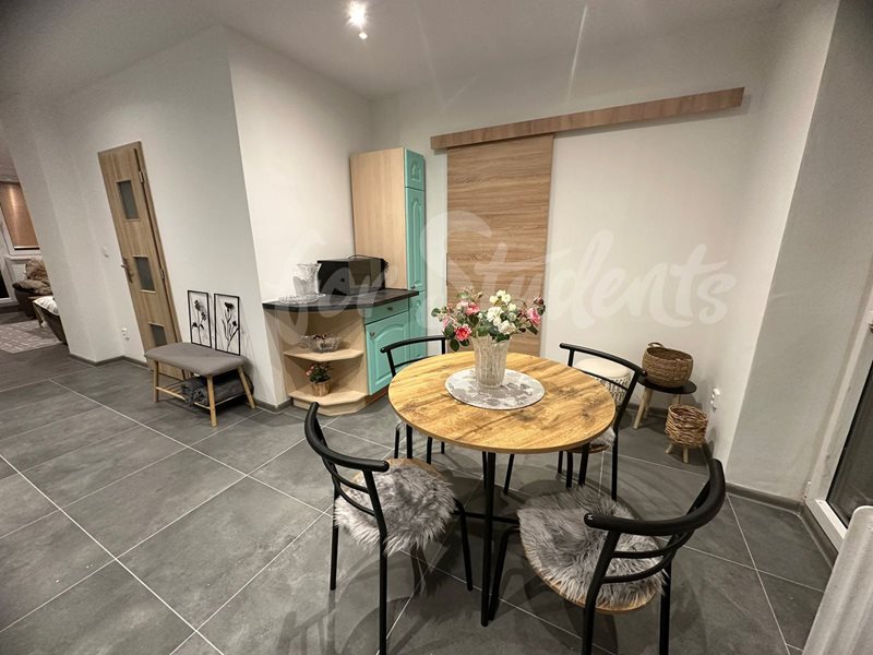 Newly reconstructed one bedroom apartment with balcony, Hradec Králové (file cb812314-14ee-4105-83d5-c53da51ec2a4.jpg)