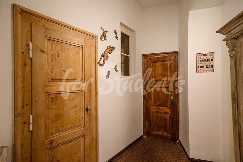 Spacious two bedroom apartment near the 1st Faculty of Medicine, Hradec Králové (file f8fd5586-fc02-476e-b22d-5378257a1324.jpg)