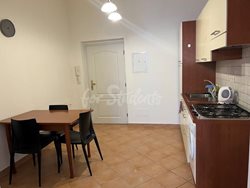One bedroom apartment near the city center, Prague - IMG_0530
