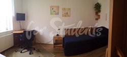 Spacious studio apartment close to the Faculty of Medicine, Prague - 10445512_656872264401604_2661999053818773922_n