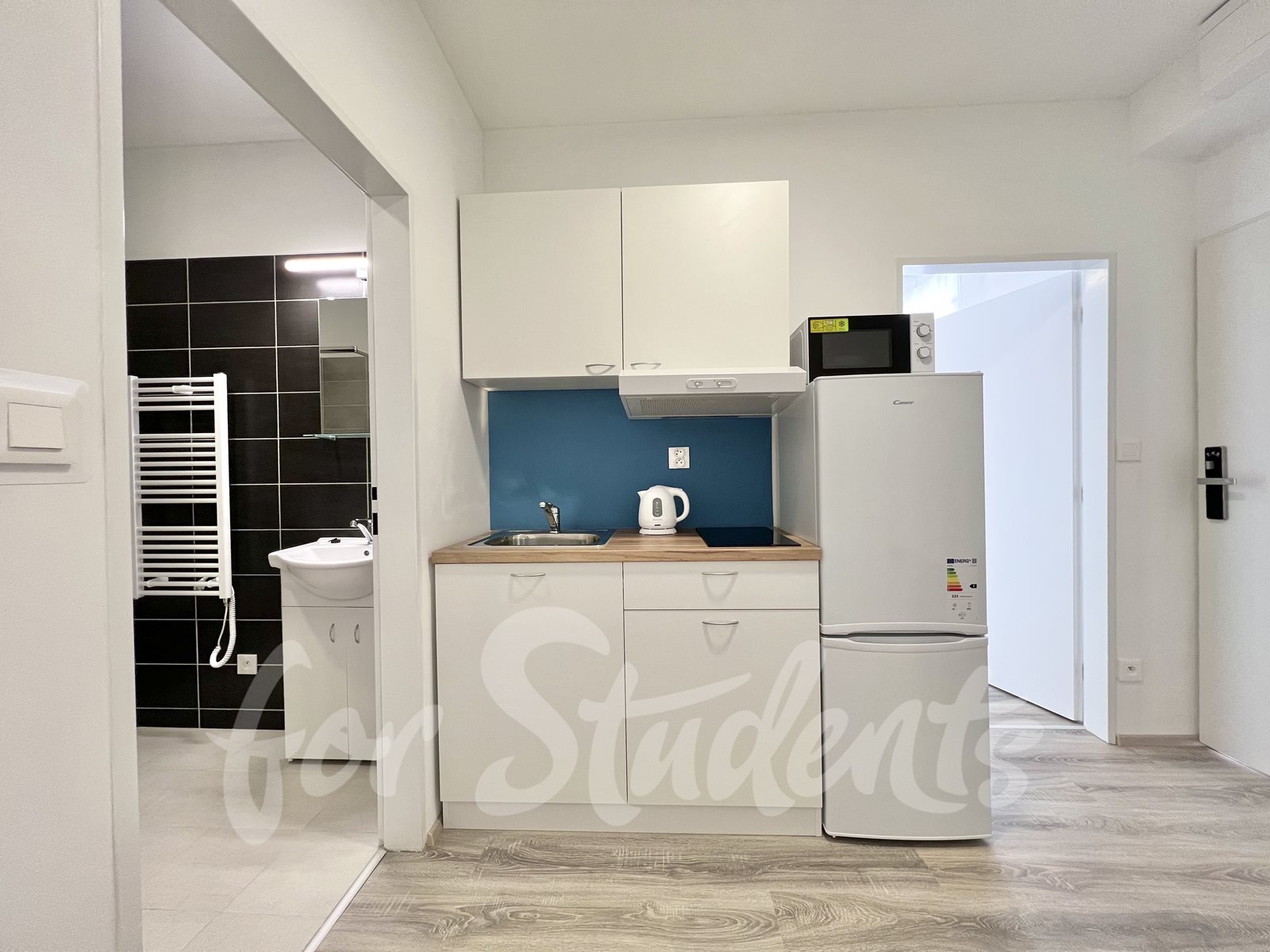 New 2 bedroom apartment, Mendlovo náměstí- Brno