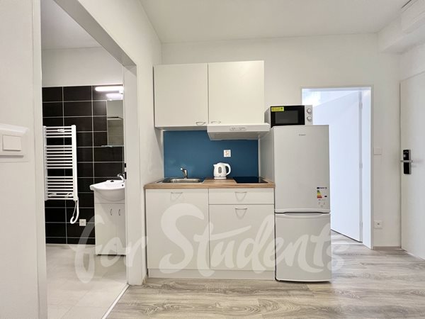 New 2 bedroom apartment, Mendlovo náměstí- Brno - B23/23