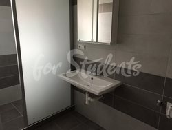 One room available in a modern vila with garden in Malšovice, Hradec Králové - 71284466_545501302862779_1725327520020037632_n