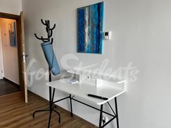 Modern studio apartment near Masaryk University, Brno  - PHOTO-2025-08-21-13-19-01