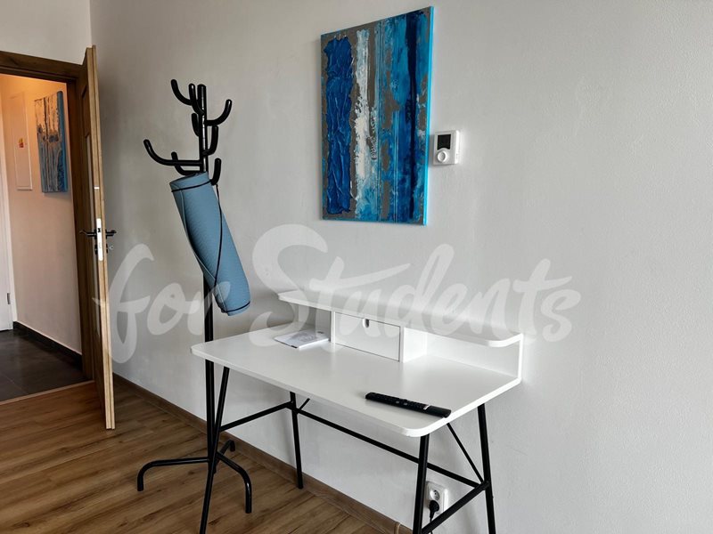 Modern studio apartment near Masaryk University, Brno  (file PHOTO-2025-08-21-13-19-01.jpg)