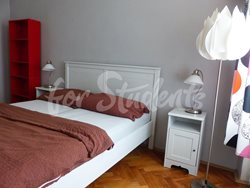 Studio apartment near the First Faculty of Medicine, Prague - P1010486