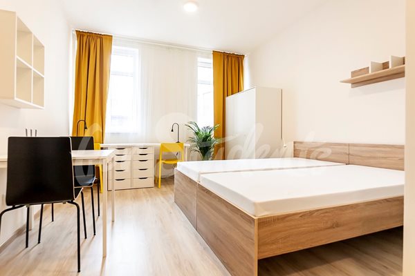 Studio apartment in the city center, Brno - B2/25