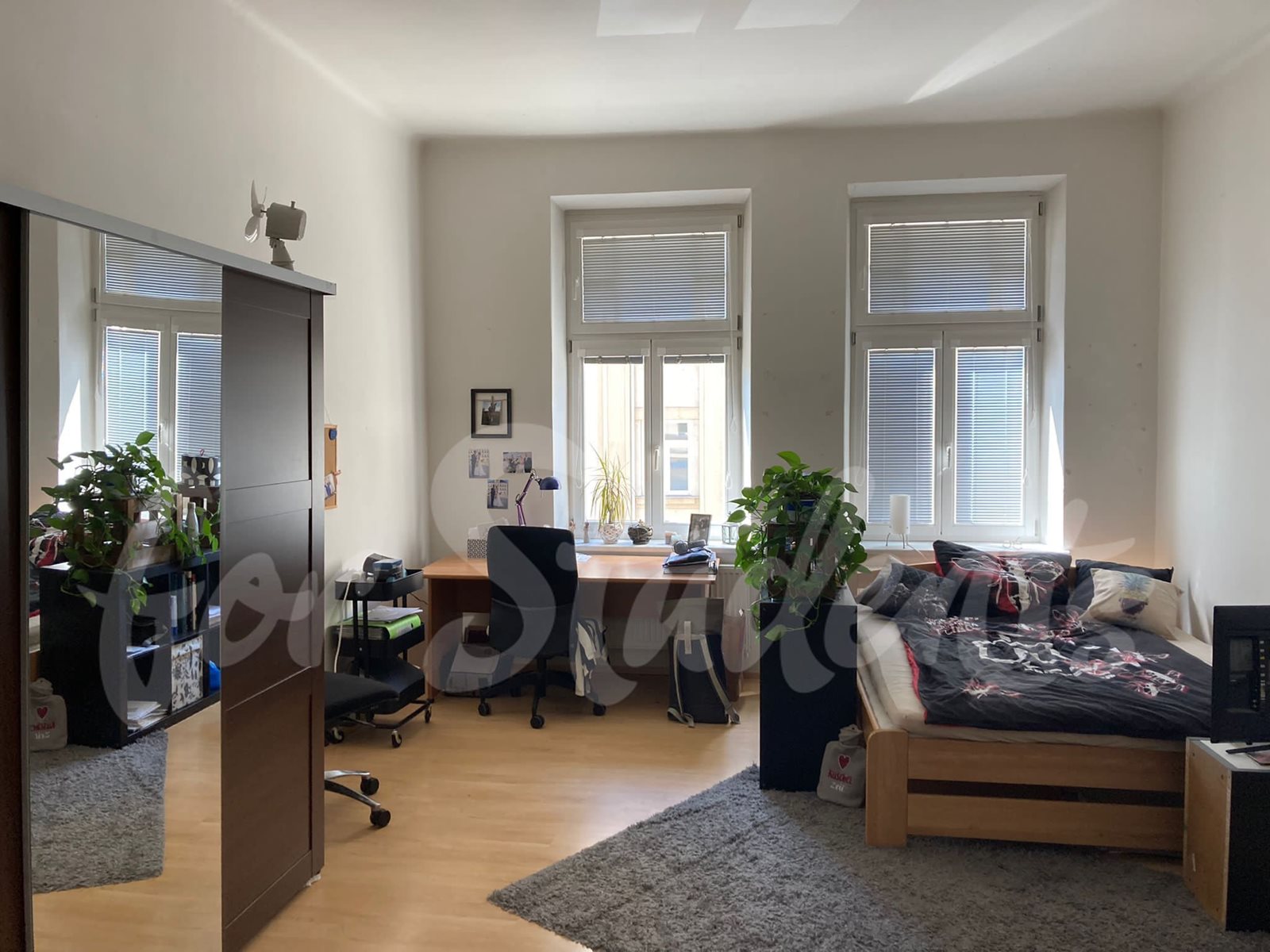 One room available in female three bedroom apartment in New Town, Hradec Králové