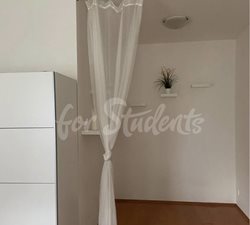 One bedroom apartment in Brno center (Veveří district) - IMG_8110