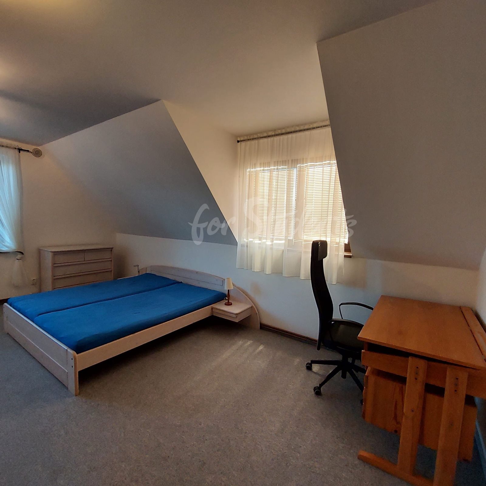 Spacious two bedroom apartment in a family house, Prague
