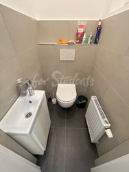 One big bedroom in a modern three bedroom apartment in New Town, Hradec Králové - toaleta