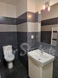 Light and furnished 1+1 apartment, close to the city centre, Brno - 346297545_212445351545972_166131633096509221_n