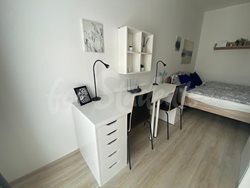 Studio apartment close to Brno city center. - PHOTO-2021-07-22-12-26-17