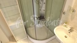 Spacious studio apartment close to the Faculty of Medicine, Prague - DSCF5344