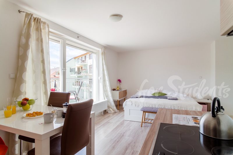 Trendy studio apartment in the city centre (Veveří district), Brno (file 8dd0747b14_Sunset3.jpg)